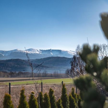 Domki W Karkonoszach Szmaragdowy Widok Wojcieszyce Exterior foto